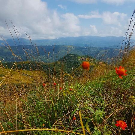 Tower Studio In The Treetops In Altos Del Maria Panama El Picacho 외부 사진