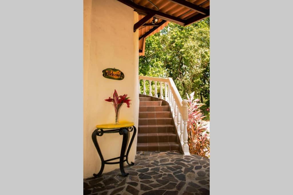 Tower Studio In The Treetops In Altos Del Maria Panama El Picacho 외부 사진