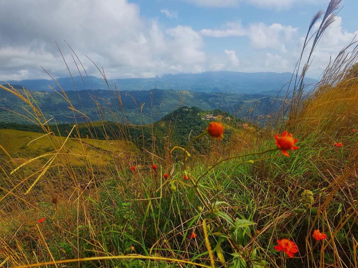 Tower Studio In The Treetops In Altos Del Maria Panama El Picacho 외부 사진