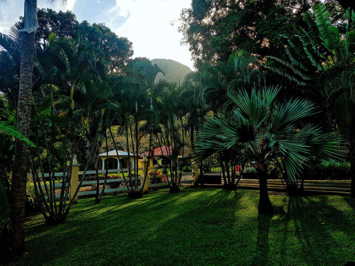 Tower Studio In The Treetops In Altos Del Maria Panama El Picacho 외부 사진
